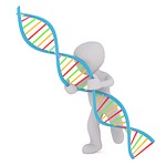 遺伝子検査で自分のハゲ体質がわかる？遺伝子検査のメリットと方法を紹介。